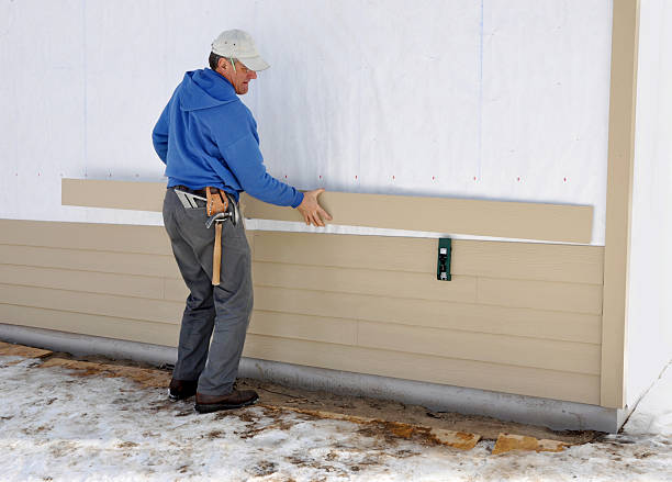 Best Brick Veneer Siding  in Anoka, MN